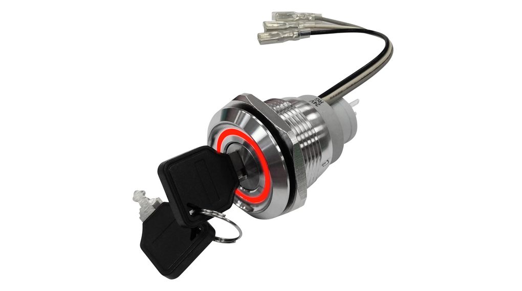 Vandalensicherer Schlüsselschalter mit roter / grüner LED 1 Wechsler 24 V 2-Pos 90° Tastend