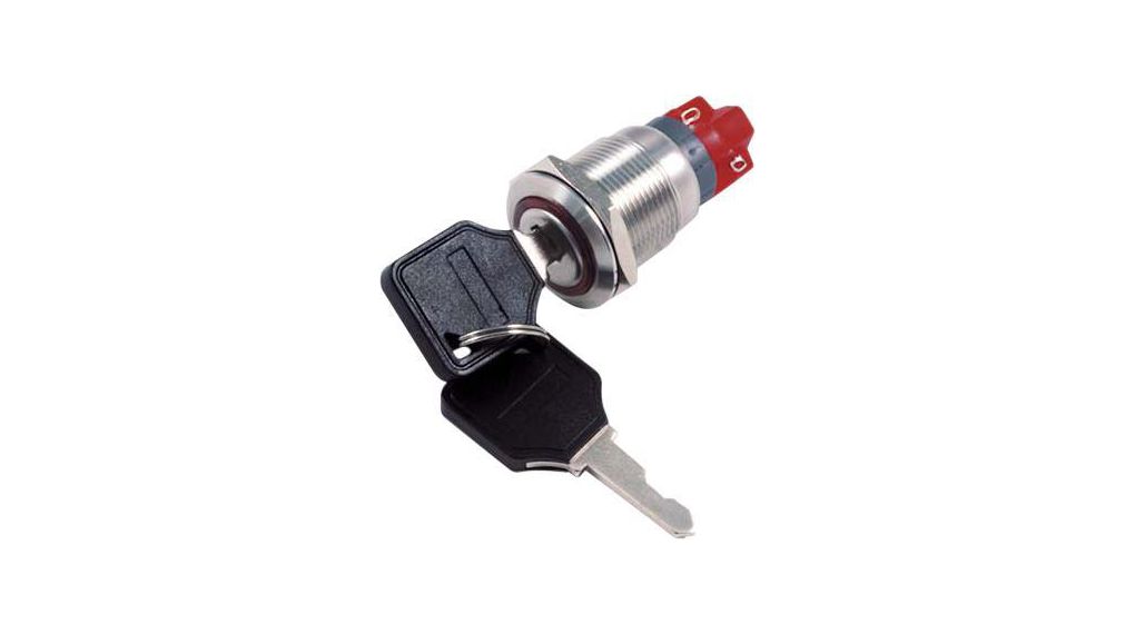 Anti-Vandal Keylock Switch 250 VAC 2-Pos 90° ON-ON