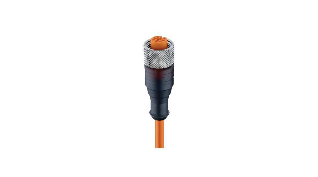 Kabelsatz, M12-Buchse - Offene Enden, 4 Leiter, 2m, IP67 / NEMA 6P, Orange