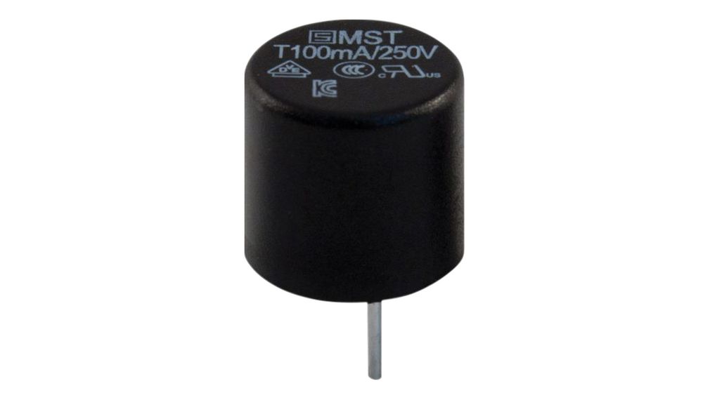 Radial Fuse 100mA 250V Slow Blow