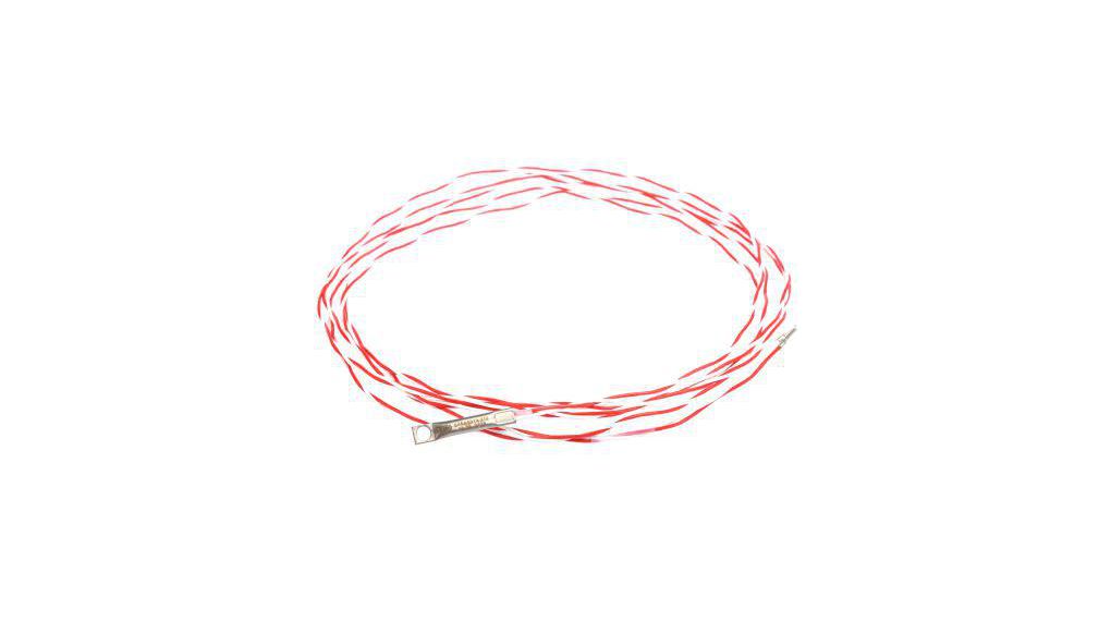PT100 RTD Sensor, M4 Dia, 30mm Long, 2 Wire, M4, Class B +260°C Max