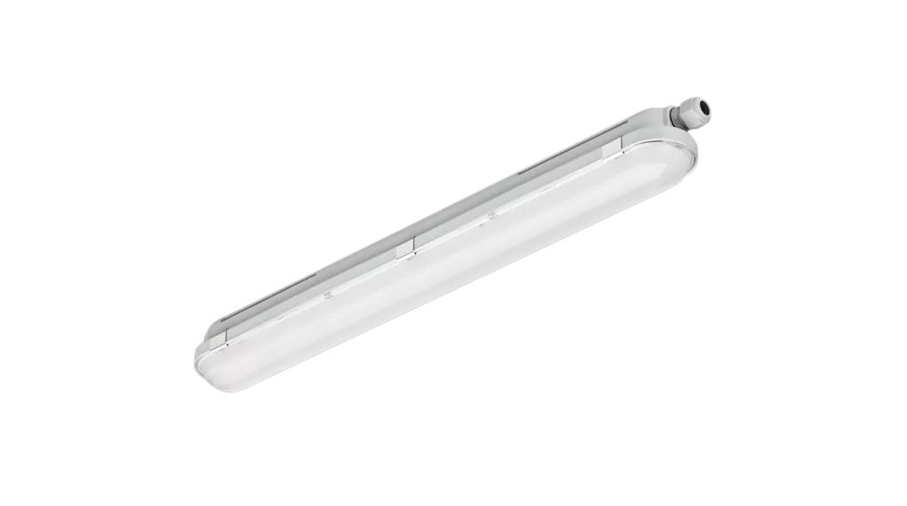 Light Fixture