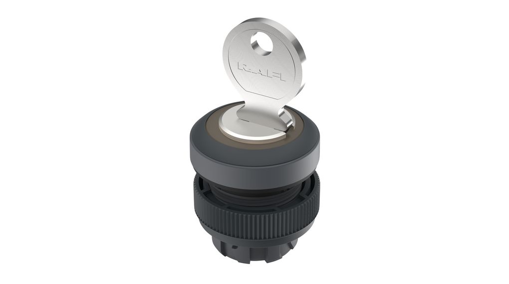 Interrupteur à Clé Autobloquant 22 Mm - DPST, 2NO, 220V - Momentané/verrouillage - Pour Commande De Démarreur, Relais