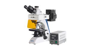 Microscope à fluorescence, Composé, Infinity, Trinoculaire, 4x / 10x / 20x / 40x / 100x, Halogène, OBN-14, 220x530x490mm