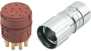 Circular Connector Kit, M23, Socket, Straight, Poles - 12, Crimp / Solder, Cable Mount