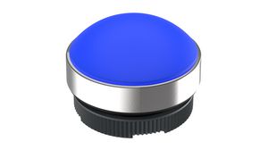 IndicatorThreaded Ring Fixed Blue
