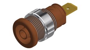 Safety socket, Brown, Gold-Plated, 1kV, 32A
