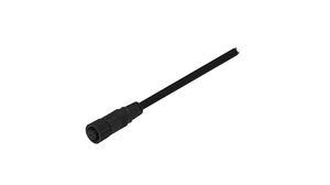 Cable Assembly, Polyamide 6.6, M12 Socket - Bare End, 5 Conductors, 2m, IP67, Straight, Black