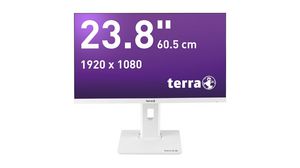 2463W Monitor, Greenline Plus, 23.8" (60.5 cm), 1920 x 1080, IPS, 16:9