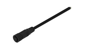Cable Assembly, Polyamide 6.6, M12 Socket - Bare End, 8 Conductors, 2m, IP67, Straight, Black