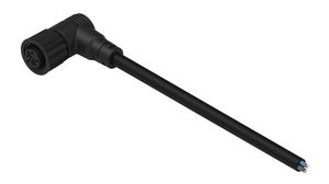 Cable Assembly, Polyamide 6.6, M12 Socket - Bare End, 4 Conductors, 2m, IP67, Angled, Black