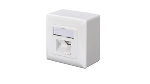 Network Wall Outlet CAT6 2x RJ45 Wall Mount White