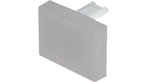 Cap Rectangular Colourless Transparent Plastic 31 Series Switches