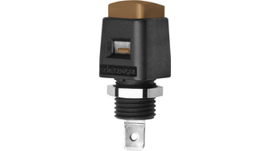 Quick-release terminal 4mm 16A 33V Brown