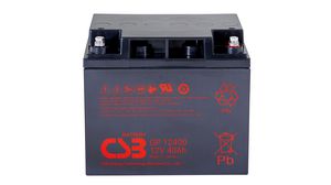 Rechargeable Battery, Lead-Acid, 12V, 40Ah, Screw Terminal, M5