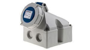 IP67 Blue Wall Mount 3P 25 ° Industrial Power Socket, Rated At 16A, 230 V