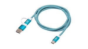Câble USB Type-C 2-en-1, 1m
