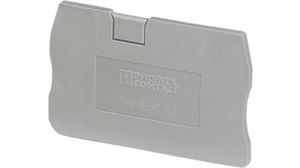 End plate, Grey, 48.6 x 29.1mm