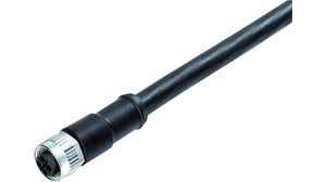 Kabelsatz, M12-Buchse - Offene Enden, 4 Leiter, 5m, IP68, Schwarz