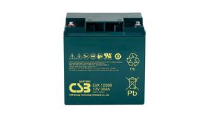 Rechargeable Battery, Lead-Acid, 12V, 30Ah, Screw Terminal, M5