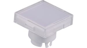 Switch Cap, Square, Clear / White