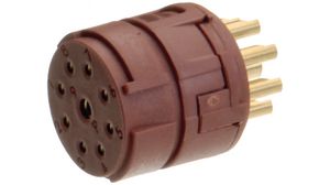Circular Connector, M23, Socket, Straight, Poles - 12, Solder, Cable Mount