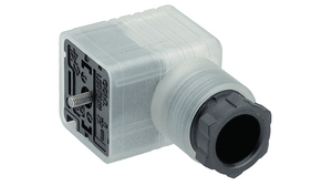 Ventilstecker, Buchse, PG11, 24V, 8A, Contacts - 3