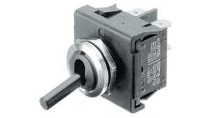 Toggle Switch CO 6 A 2CO IP40