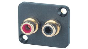 DBA-BL-plate Cinch Socket , Socket, Straight