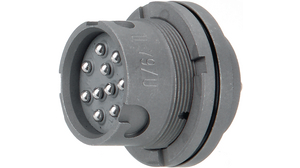 Appliance socket 10-pin, MIL-C-10544, Receptacle / Socket, 100mA