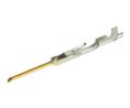 Crimp-Anschluss, Stecker, Gold, 24 ... 22AWG