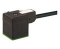Murrelektronik Limited DIN 43650 Connector