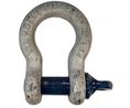 Bow Shackle, Alloy Steel, 9.5t