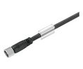 Cordset, M8 Socket - Bare End, 4 Conductors, 10m, IP68 / IP67 / IP66 / IP65, Black