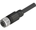 Straight Female 4 way M12 to Actuator/Sensor Cable, 1m Ledare
