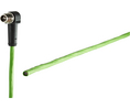 Cordset, M12 Plug - Bare End, 8 Conductors, 1m, IP65 / IP67, Green