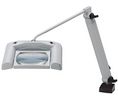 Waldmann Magnifying Lamp