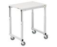 SAP Trolley, 1m x 700mm x 900mm, 150kg