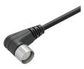 Cordset, M23 Socket - Bare End, 19 Conductors, 10m, IP67, Black
