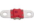 Auto Fuse 50 A 32V Red Pack of 5 pieces