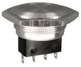 Pushbutton Switch, Vandal Proof Momentary Function 5 A 250 VAC 1NO + 1NC IP40