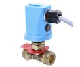 Novotech Controls SPCO Series Control Valve Flow Sensor for Liquid, 3 L/min Min, 6 L/min Max