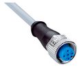 Kabelsatz, M12-Buchse - Offene Enden, 5 Leiter, 5m, IP67, Grau