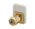 Wi-Fi Antenna, 2.4 dBi, Male RP-SMA, 20mm, Screw