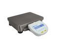 Adam Equipment Co Ltd Precision Balance Weighing Scale, 32kg Weight Capacity