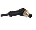Right Angle Male 5 way M12 to Unterminated Sensor Actuator Cable, 1m Ledare