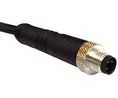 Cordset, M5 Plug - Bare End, 4 Conductors, 1m, IP67, Black