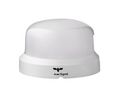 LED Signal Beacon AC / DC 48V 160mA 110mm Multicolour IP66 / IK08 Screw Terminal RCMM
