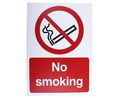 Plastic No Smoking Prohibition Sign, No Smoking, English