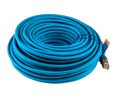 25m Cat6, Blue RJ45 to Male RJ45 Male, F/UTP Shielded, Terminated LSZH Sheath